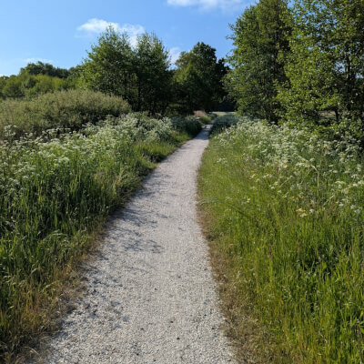 de Jong, Merel Merel de Jong